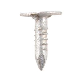 Merriway BH03743 (150 Gm) Clout Nail With Extra Large Head