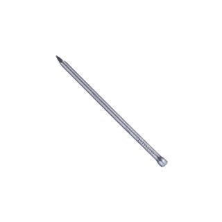 Bright Panel Pins 50 x 2.00mm - Pack of 50