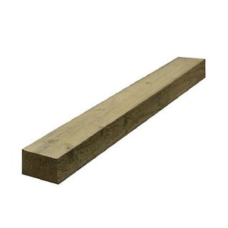 47x100mm x 4.8m Kiln Dried C24 Treated Regularised Timber