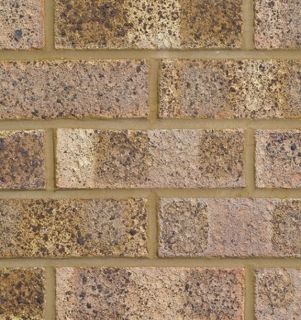 LBC Cotswold Facing Brick (390 Per Pack)