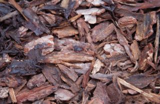 Ornamental Bark (0.6m3) Bulk Bag