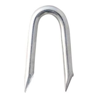 Galvanised Presser-Point Staples 30 x 3.35mm - 1kg