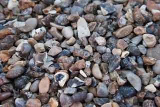 Ox Pro Line Pins 152mm