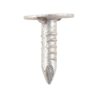 Extra Large Head Clout Nails Galvanised 13mmx 3.00 1Kg