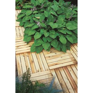 Forest Garden Ridged Deck Tile - 50x50cm - Pack of 100
