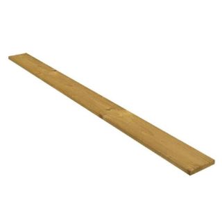 Treated Timber Unseasoned Sawn 22x100mm 4.8m