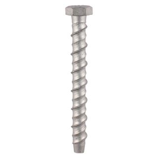 Masonry Bolts Hex Exterior Silver 10.0 x 100mm Pack of 12