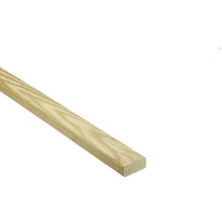 Treated Timber Batten (Not for Roofing) 25x38mm 4.8m