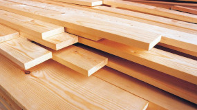 Softwood